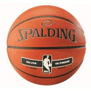 Баскетбольный мяч Spalding NBA Silver, Арт. 83016Z (Размер 7)