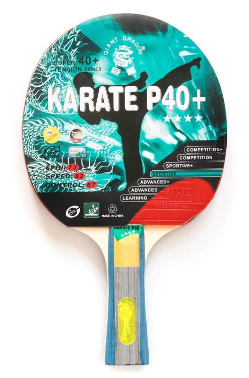 Теннисная ракетка Dragon Karate 4 Star New 